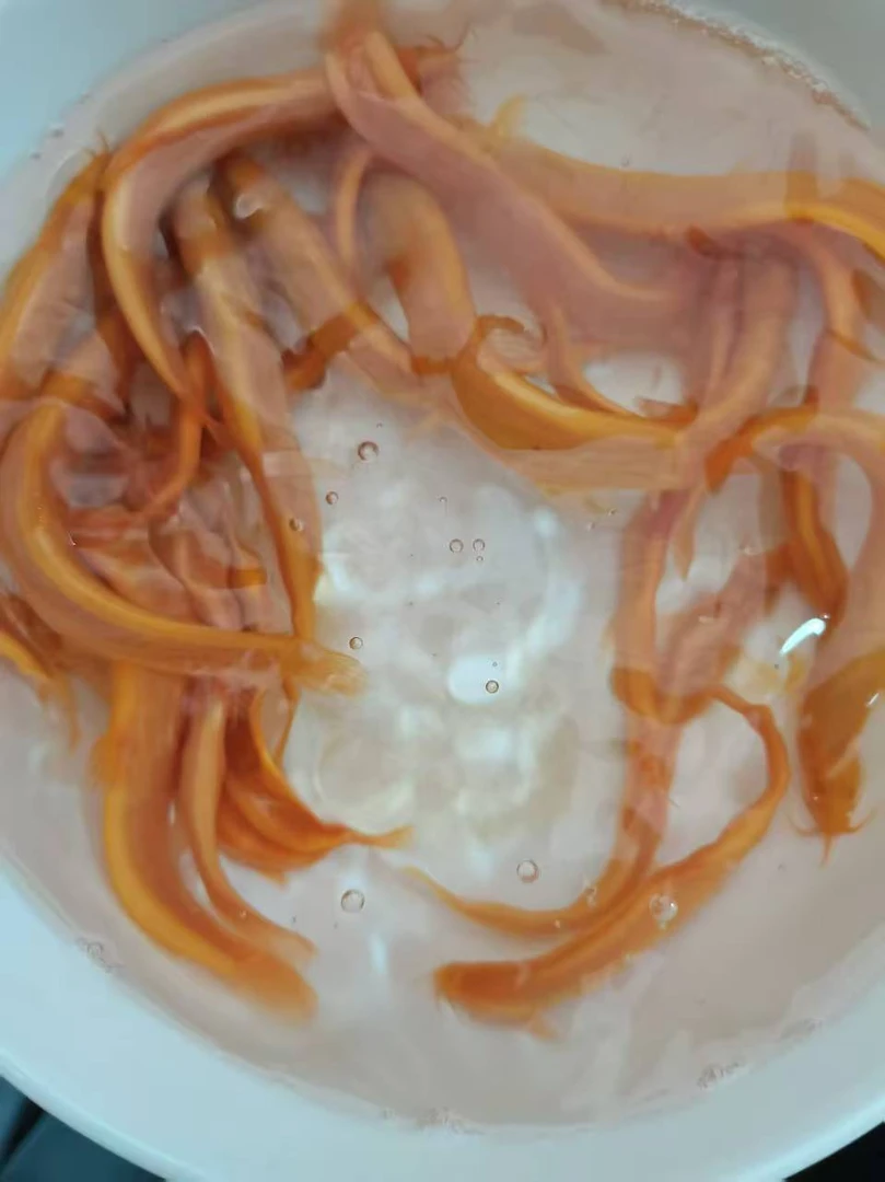 11-14公分黄金泥鳅淡水可养殖观赏鱼