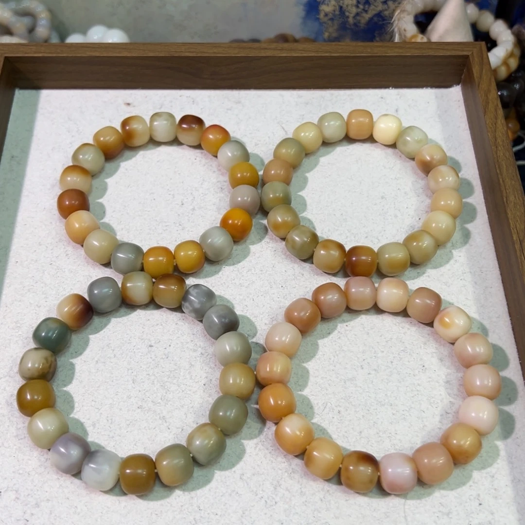 菩提根/象牙果吊坠柏林花事卡14