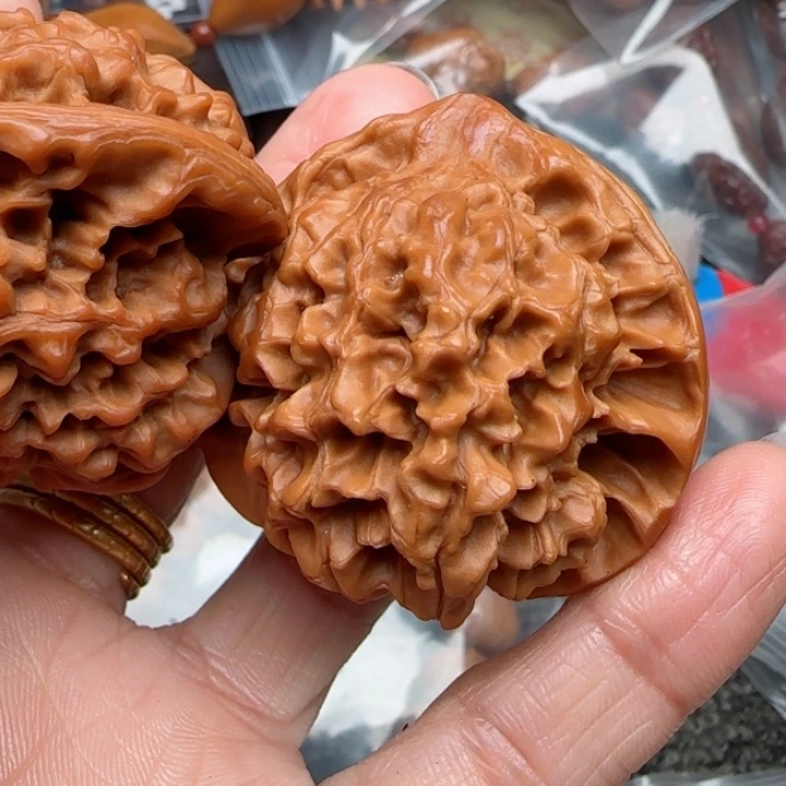 橄榄核吊坠橄榄菜等经济作物