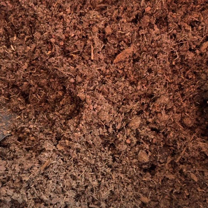 精品多肉植物专用土