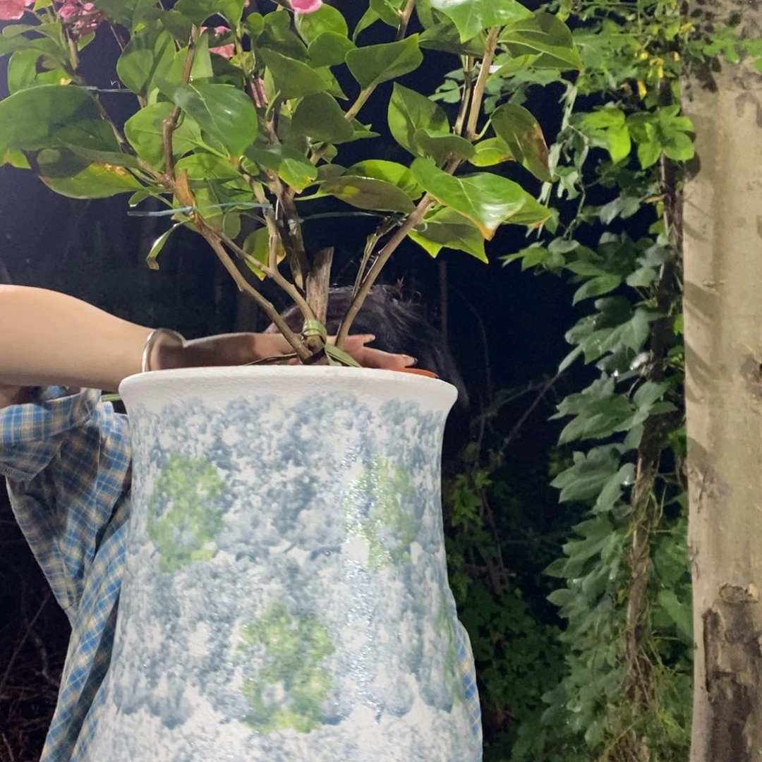 紫砂花盆正品20/30