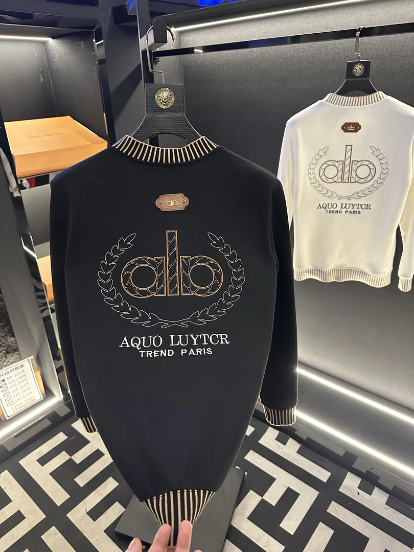 2025年时尚百搭潮流加绒卫衣男士设计师圆领轻奢休闲-f311