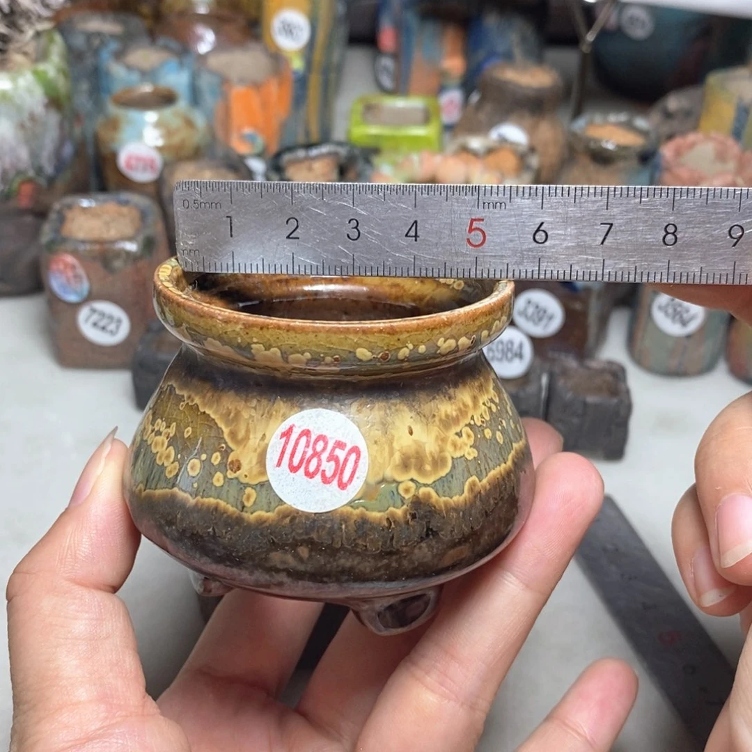 拍5送一个小礼物