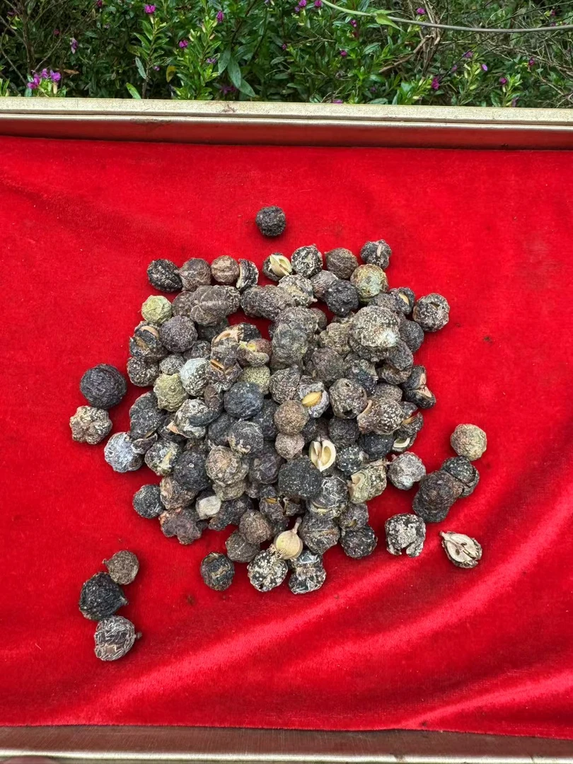 小雪现收土特产  金-珑-果 250-1000克