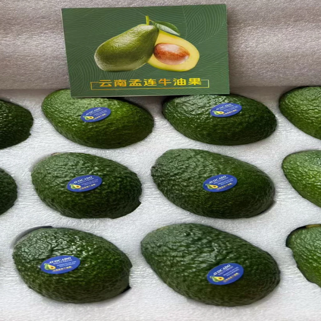 【礼盒装】云南孟连牛油果新鲜水果当季可即食适合宝宝孕妇的辅食