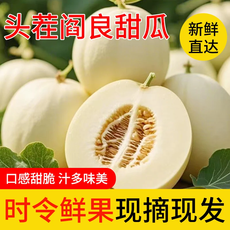 【头茬现摘】陕西阎良甜瓜当季新鲜水果蜜瓜脆甜小白瓜香瓜整箱包邮
