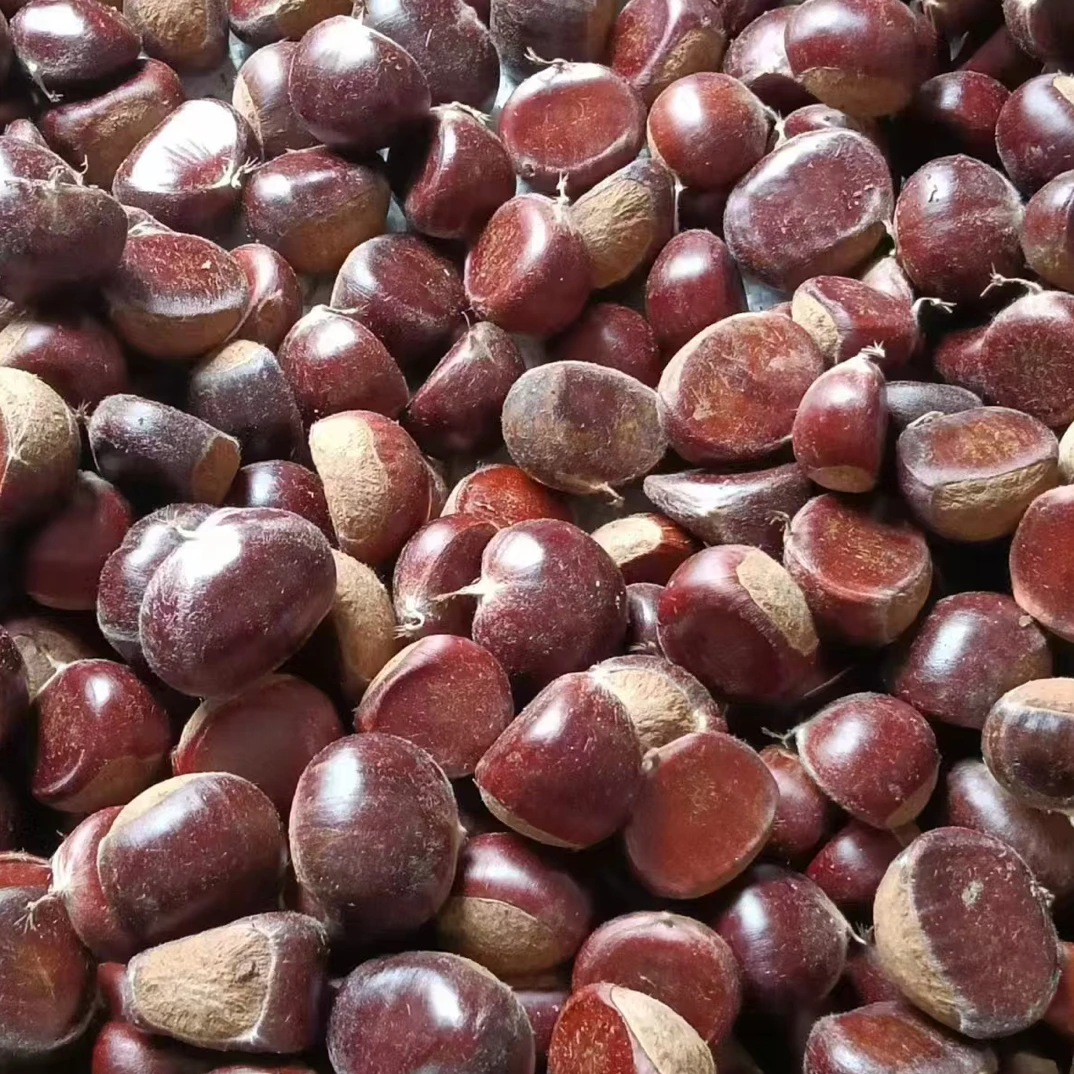 赣南信丰本地板栗清香浓郁粉糯香甜