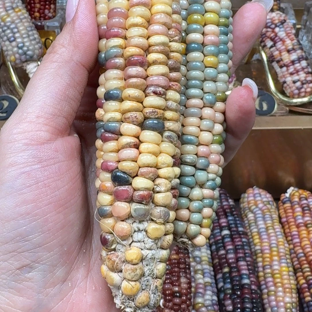 柏香籽/百香籽吊坠七***时