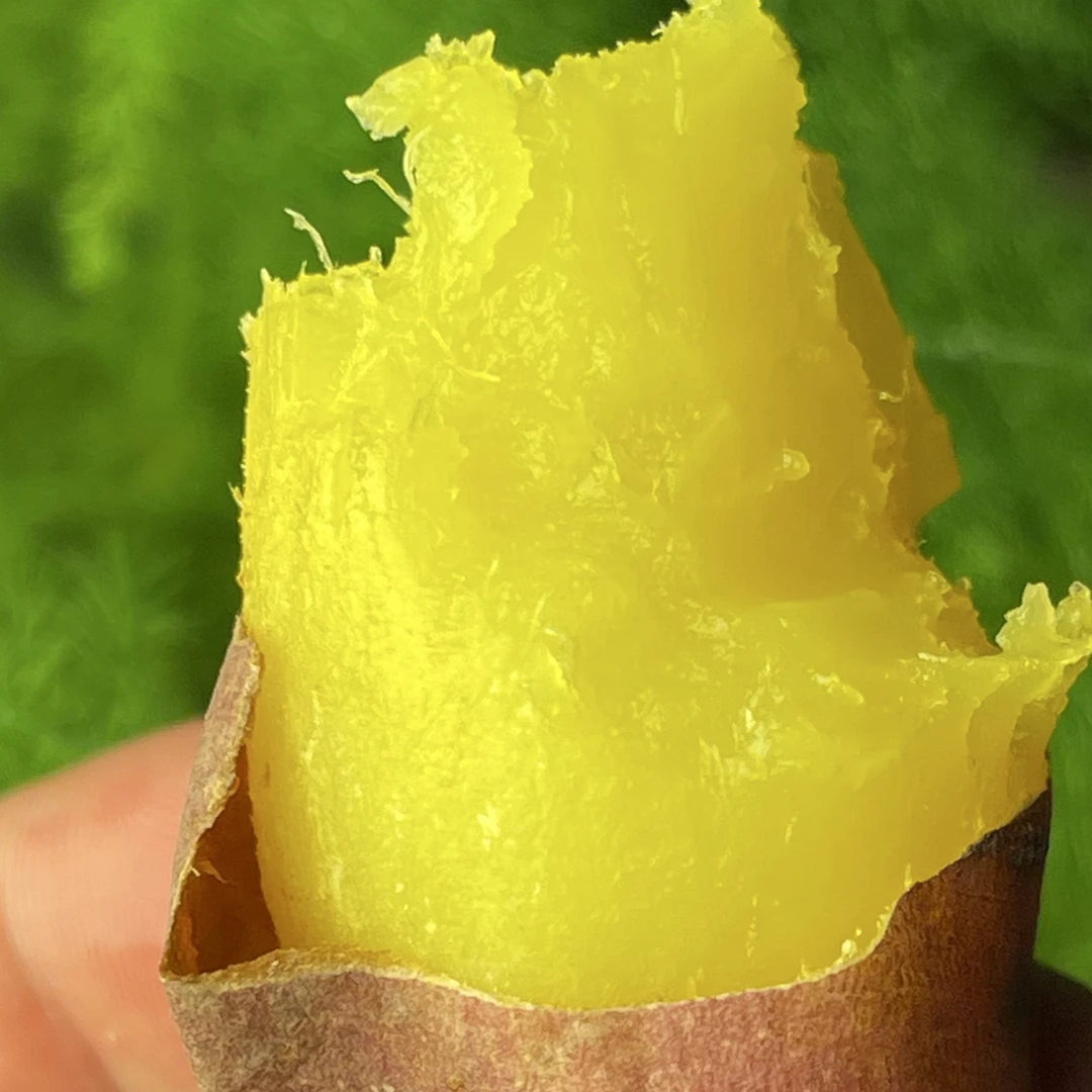 扬州蜜薯糖心新鲜现挖比榴莲蜜薯好吃正宗高端红薯软糯香甜