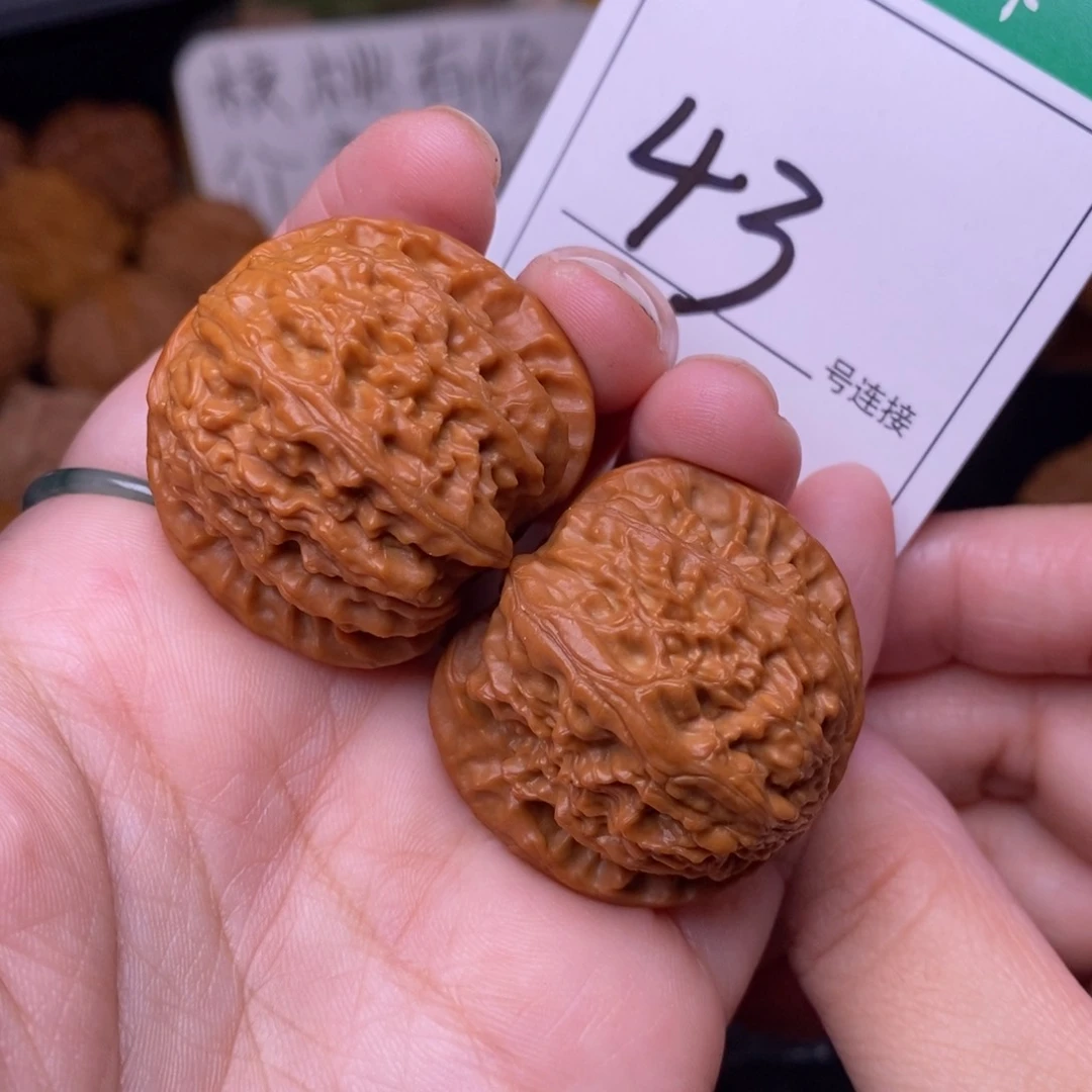 把件文玩核桃43白狮子3.6