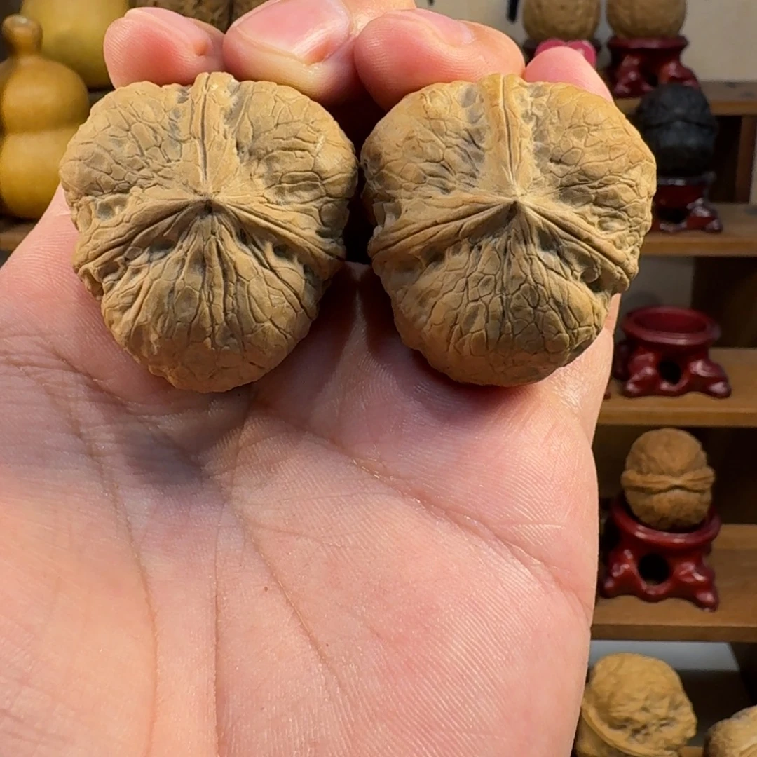 核桃铁核桃把件龙龟甲三棱奔驰
