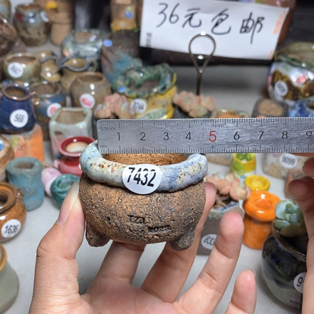 拍3送一个小礼物