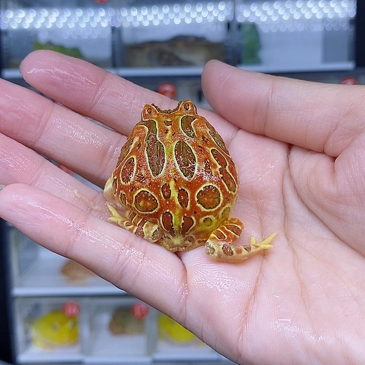 特价秒杀现货特价残