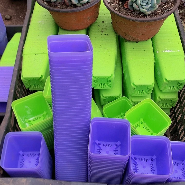 50个方杯，000000