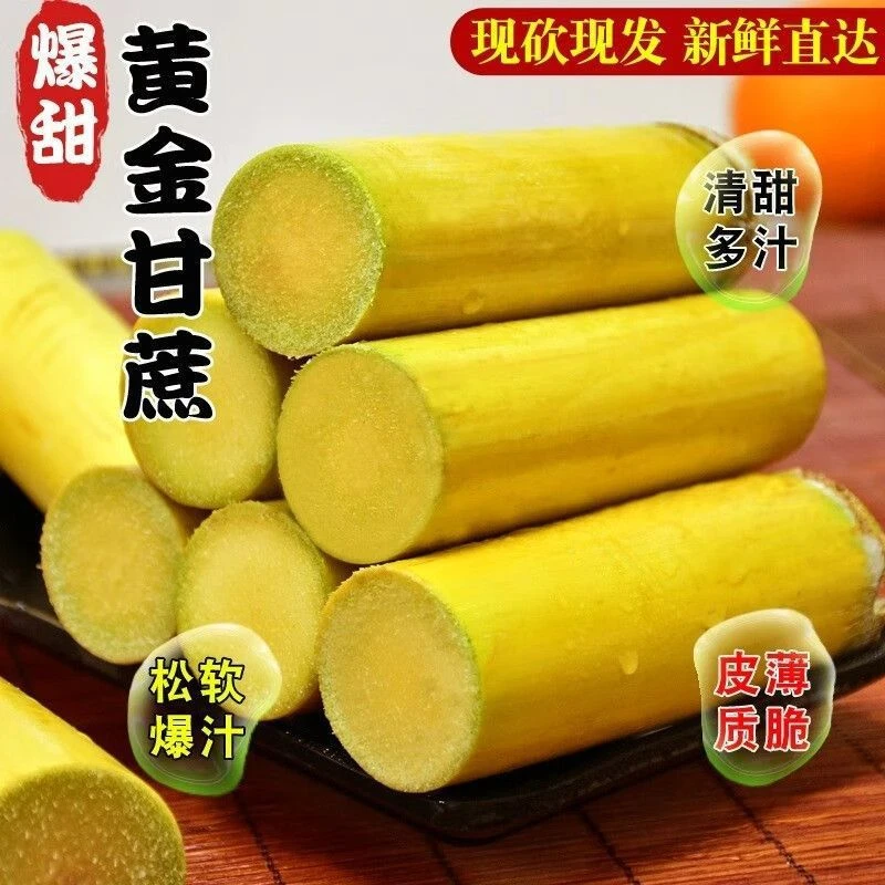 【黄金甘蔗】正宗云南黄皮甘蔗水果甘蔗爆甜多汁脆嫩应季