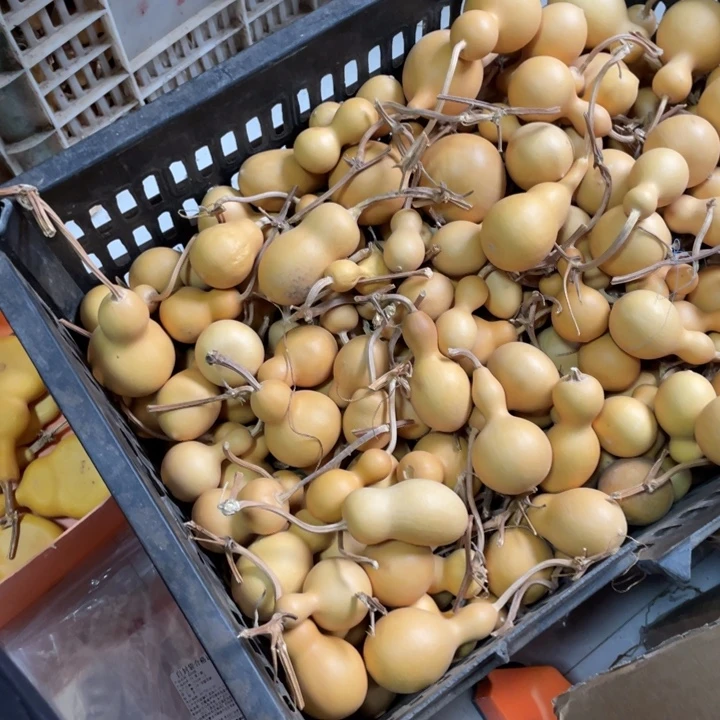 糖***屋哈哈哈哈哈哈葫芦