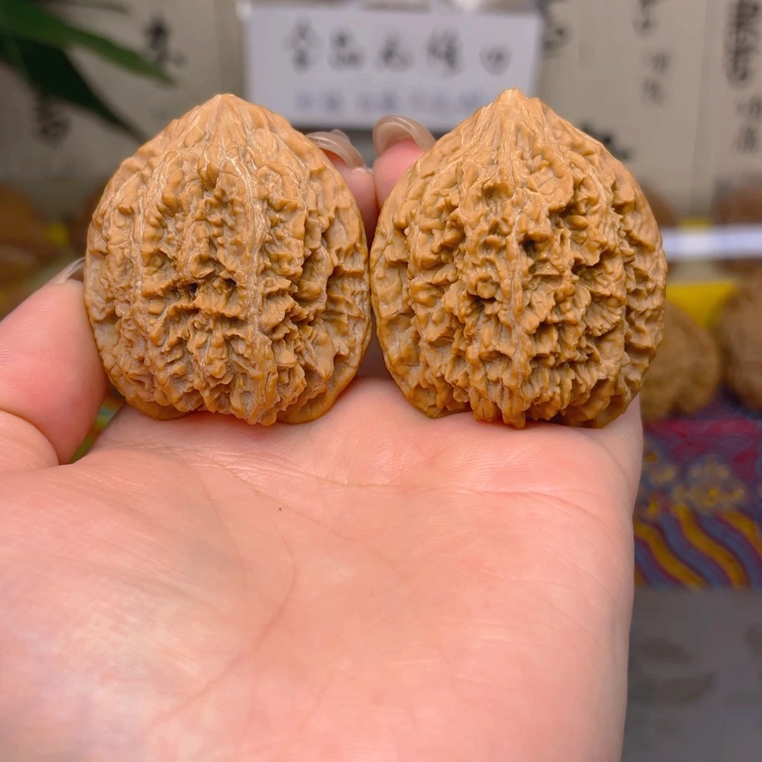 满天星狮子头四十一尺