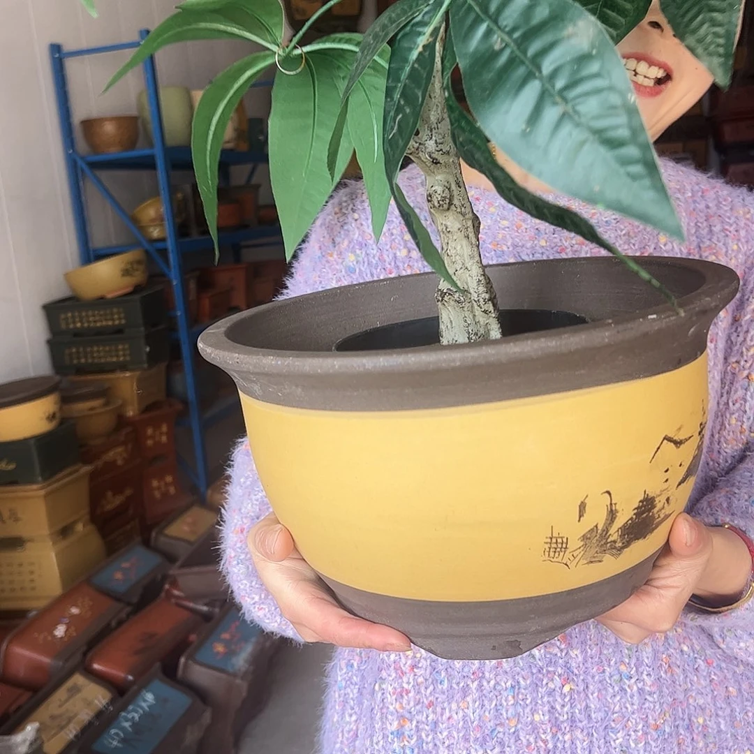 003花盆花盆花盆花盆花盆