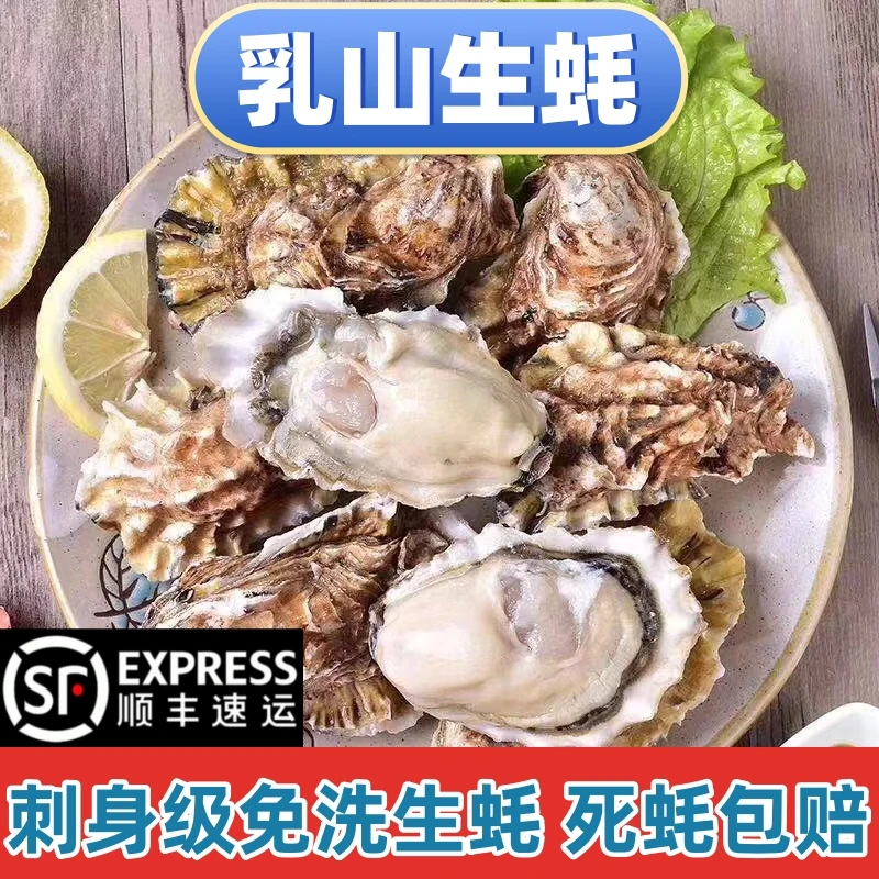 6【买5斤送3斤】正宗山东乳山生蚝鲜嫩牡蛎海鲜乳山牡蛎刺身级特大