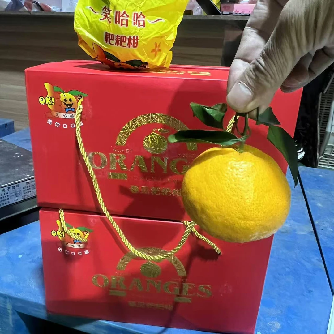 笑哈哈四川耙耙柑（整箱）