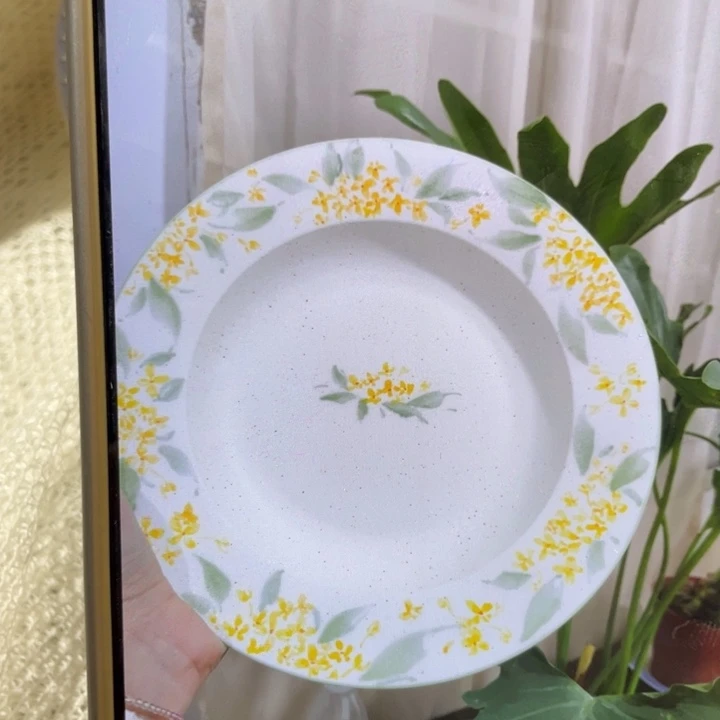 ****L瓷片预定大概2个星期