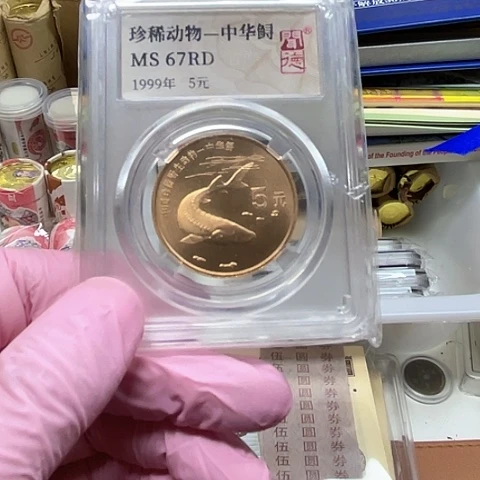 其他普通金属动物中华鲟，，，，