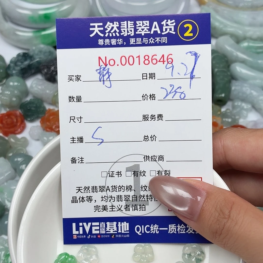 静***）翡翠未镶嵌颈饰24