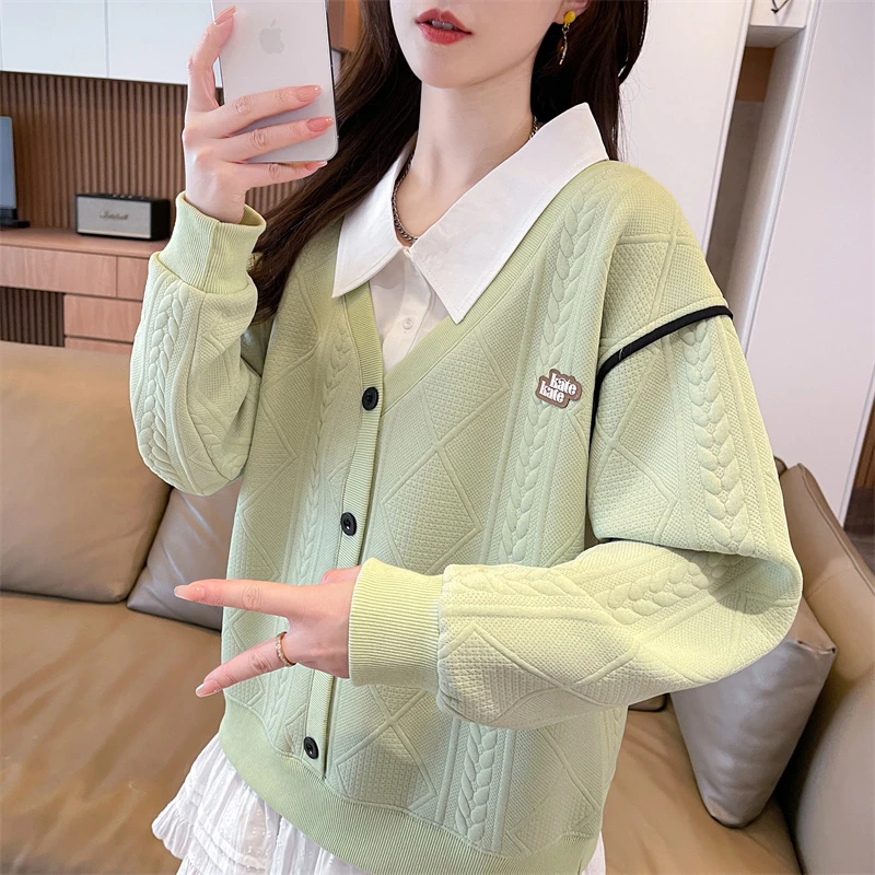 2025新款学院风刺绣春秋薄款卫衣女韩版秋季外套长袖百搭上衣ins