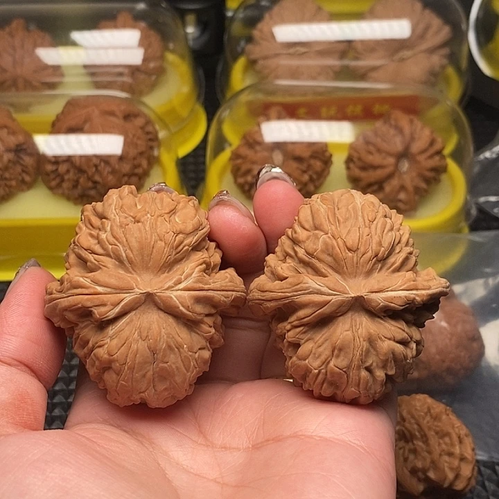 纯***玩48全品楼王