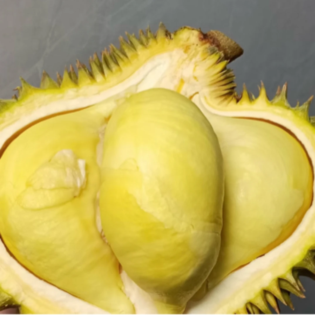 79/个新鲜巴掌金枕榴莲（一个月2.8斤～3.1斤左右）核小金枕泰国