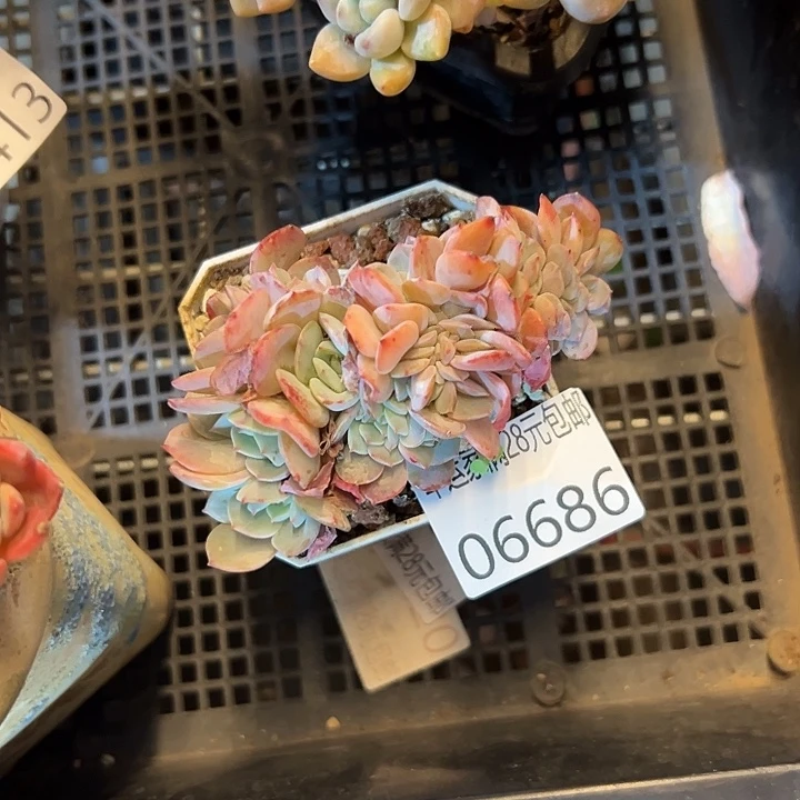 幸运的是我没有遇到过这样
