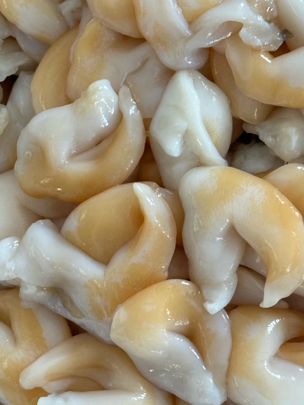 大连海鲜【长海县广鹿岛开背鸟贝没有内脏】大小混发介意勿拍