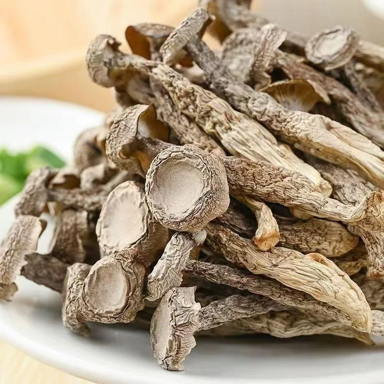 菌菇农产品鹿茸菇无硫无熏干货炒菜煲汤鲜美可口罗大美乡村家常菜