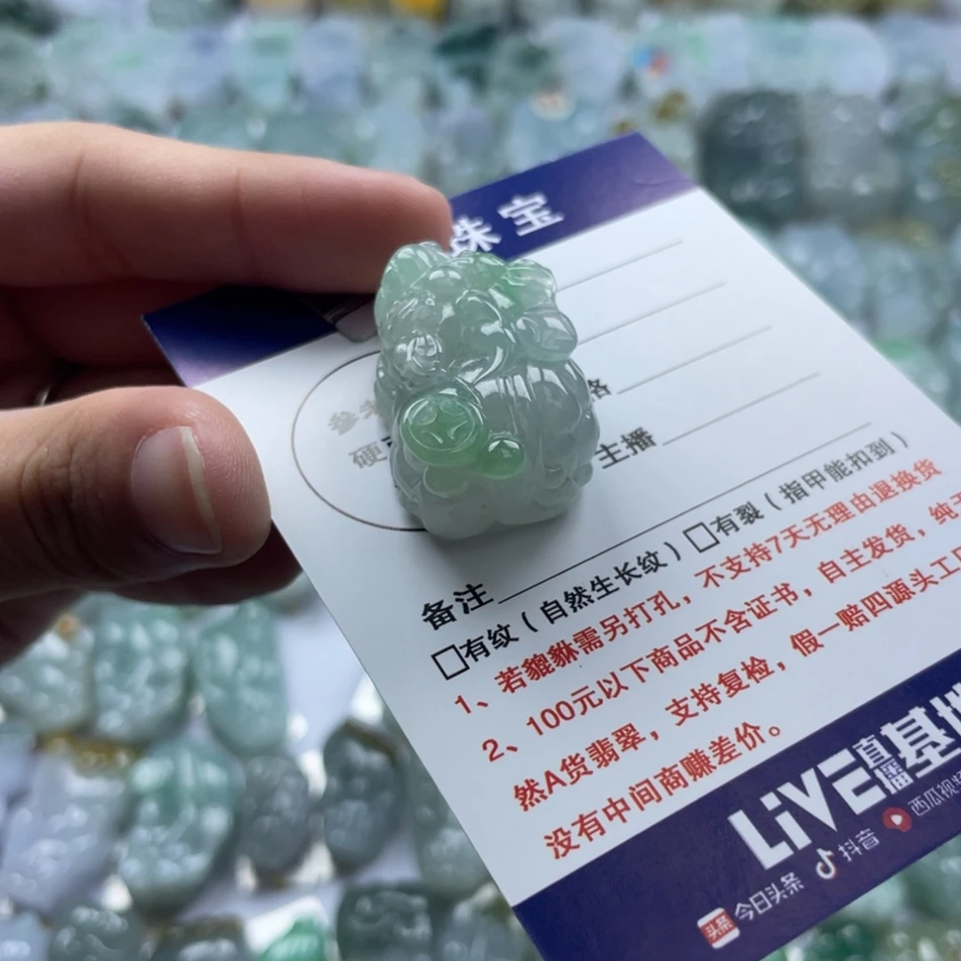 翡翠未镶嵌颈饰貔貅