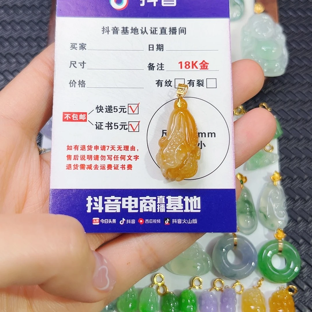 衣***云翡翠18K金镶嵌颈饰