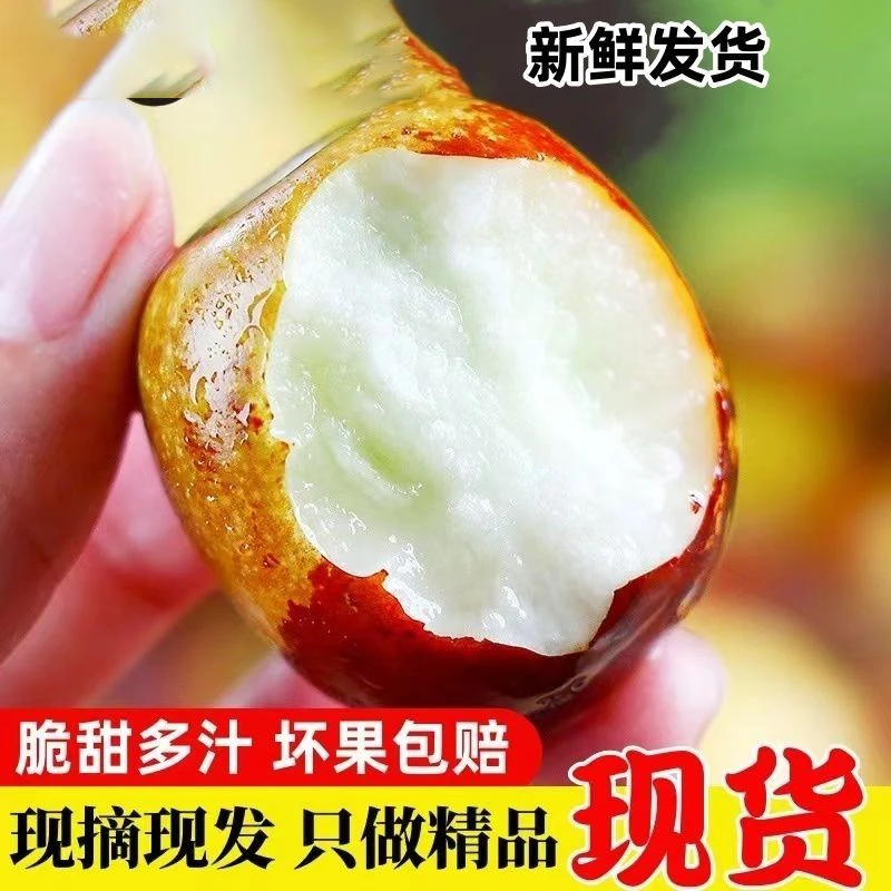 【巨无霸】脆甜冬枣新鲜水果大枣应季枣子青枣冰糖鲜枣大荔临猗双仓
