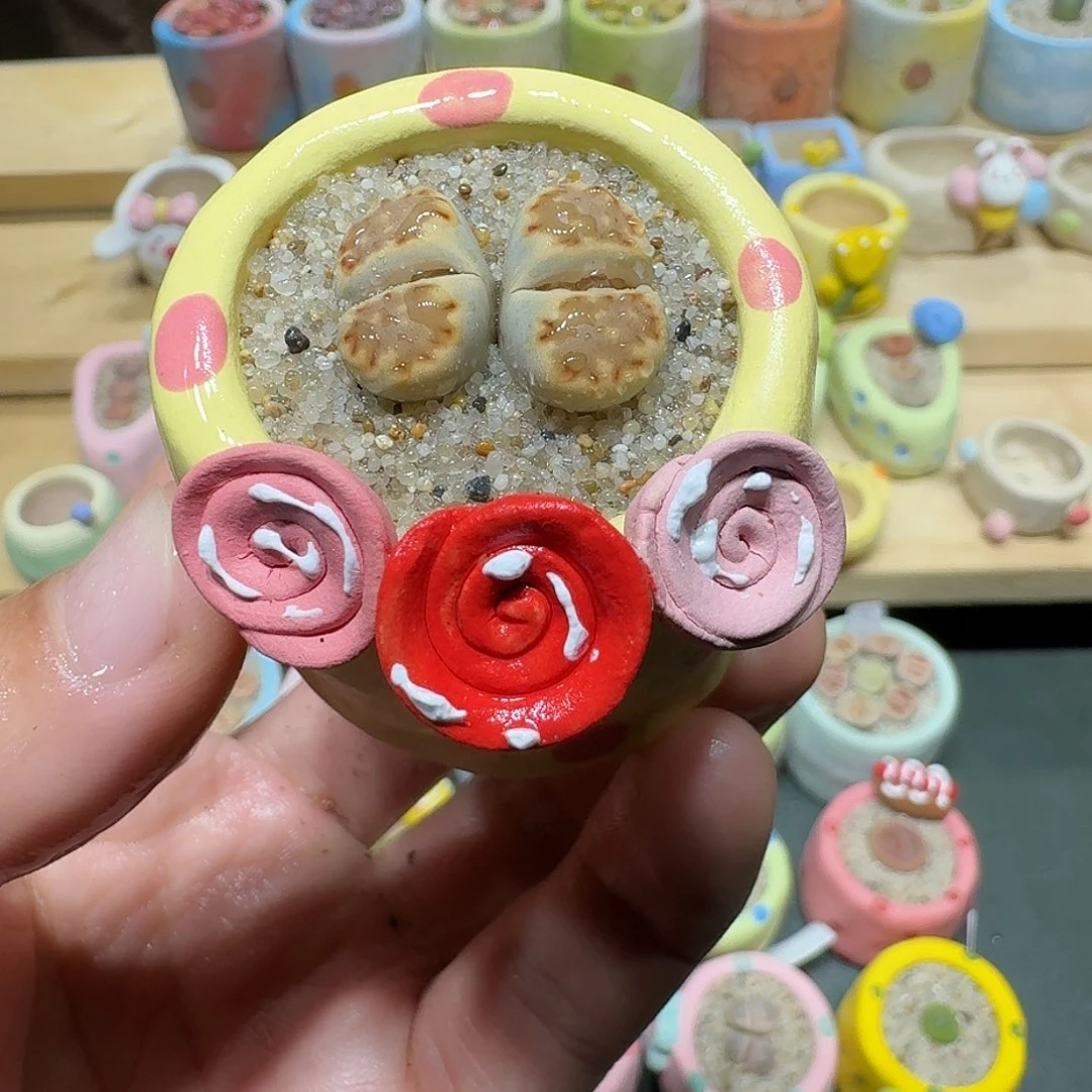 红陶蘑菇375寿丽