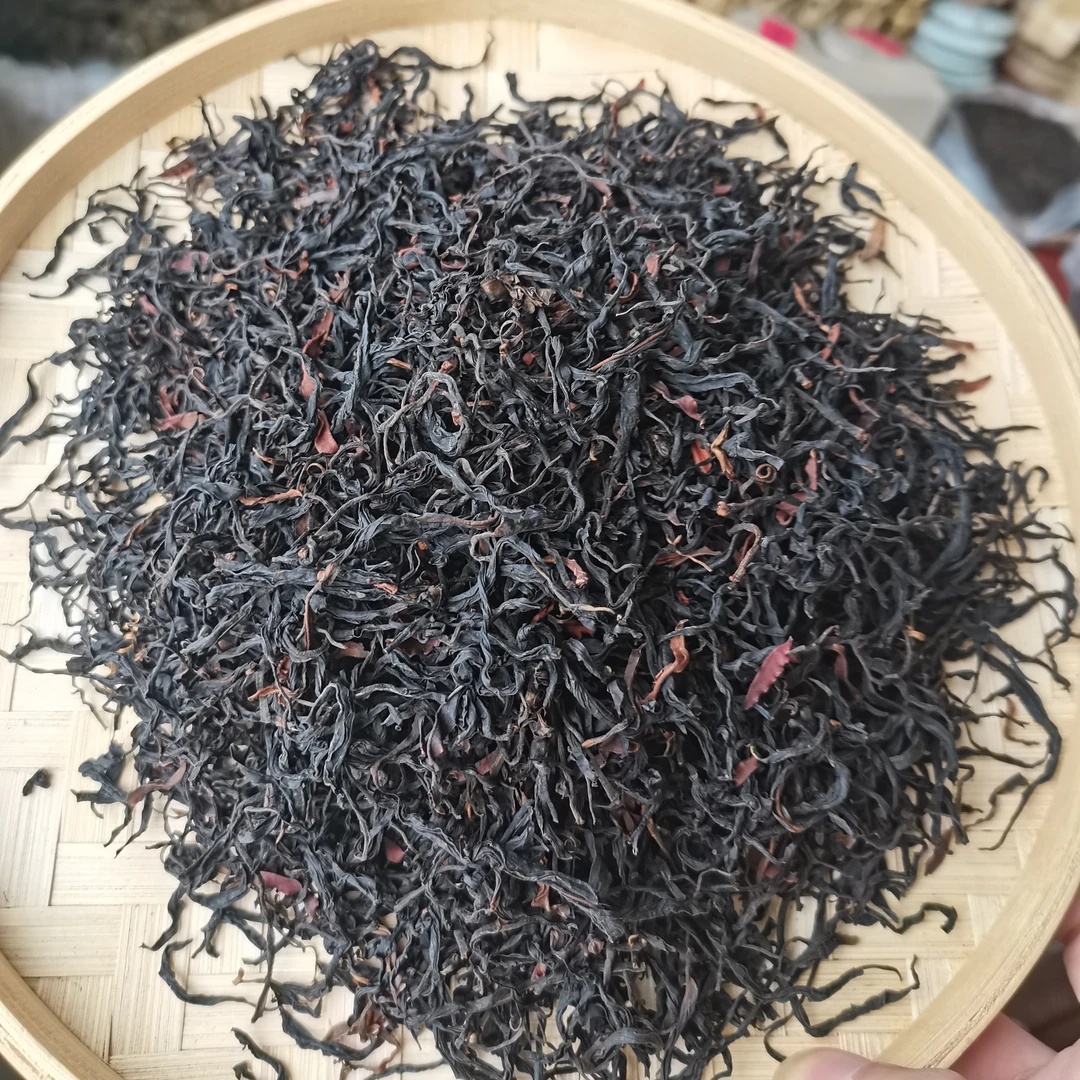 云南高黎贡山野生古树红
