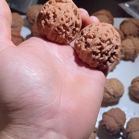 文玩核桃吊坠水龙