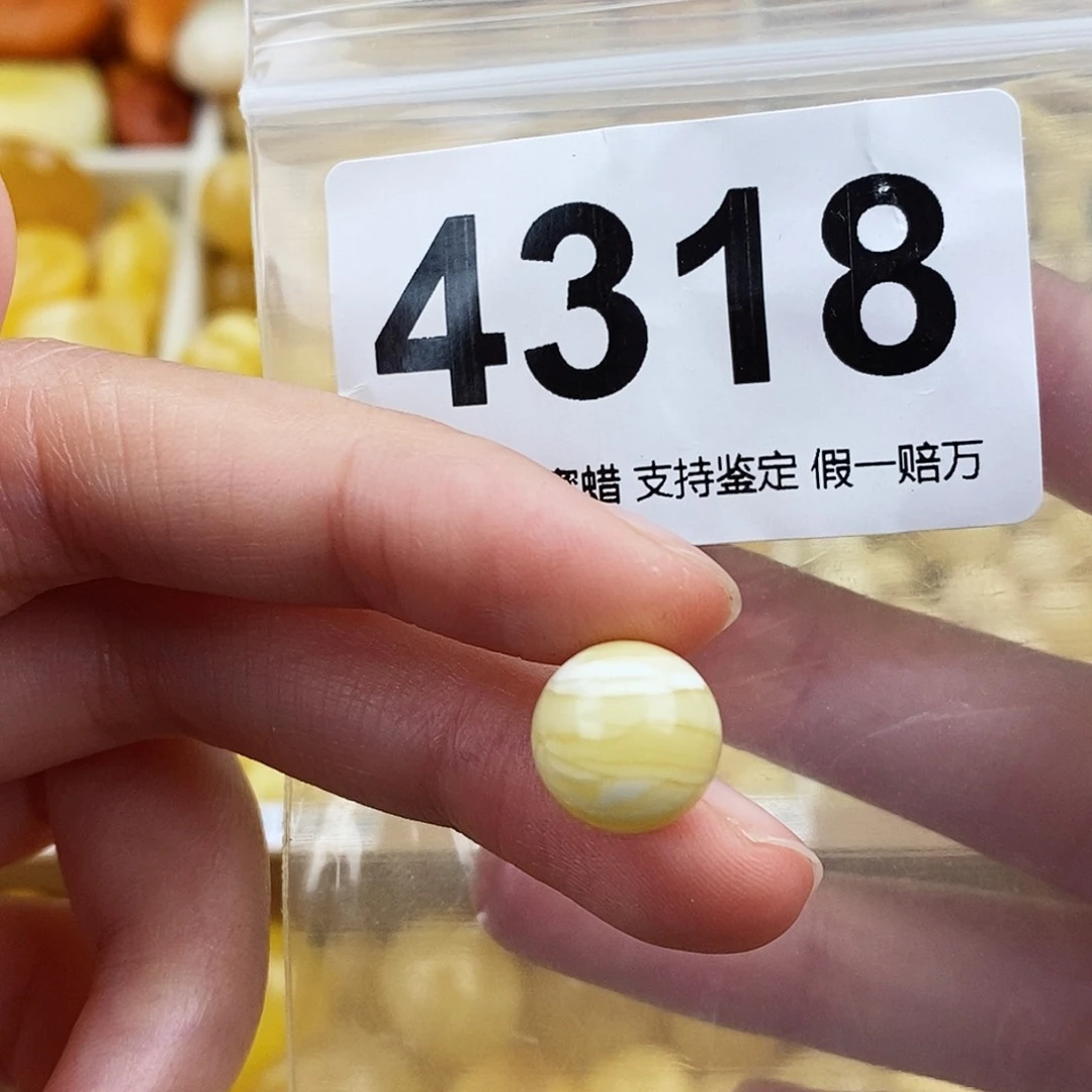 未镶嵌蜜蜡珠宝奇石11.5