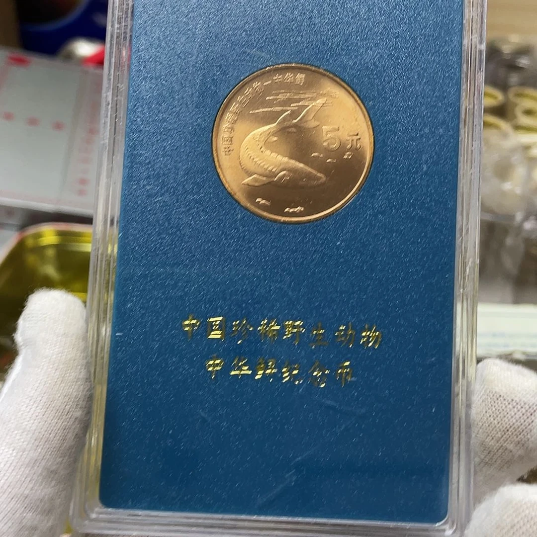 其他普通金属动物中华鲟带盒，，，，