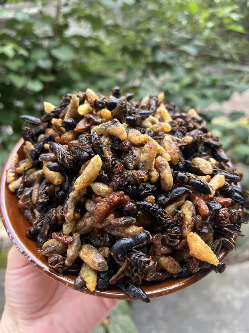 树蜂3级+4级    一样一半经济实惠下酒菜（介意3级蜂慎拍）
