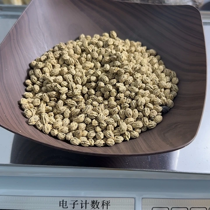吊坠柏香籽/百香籽