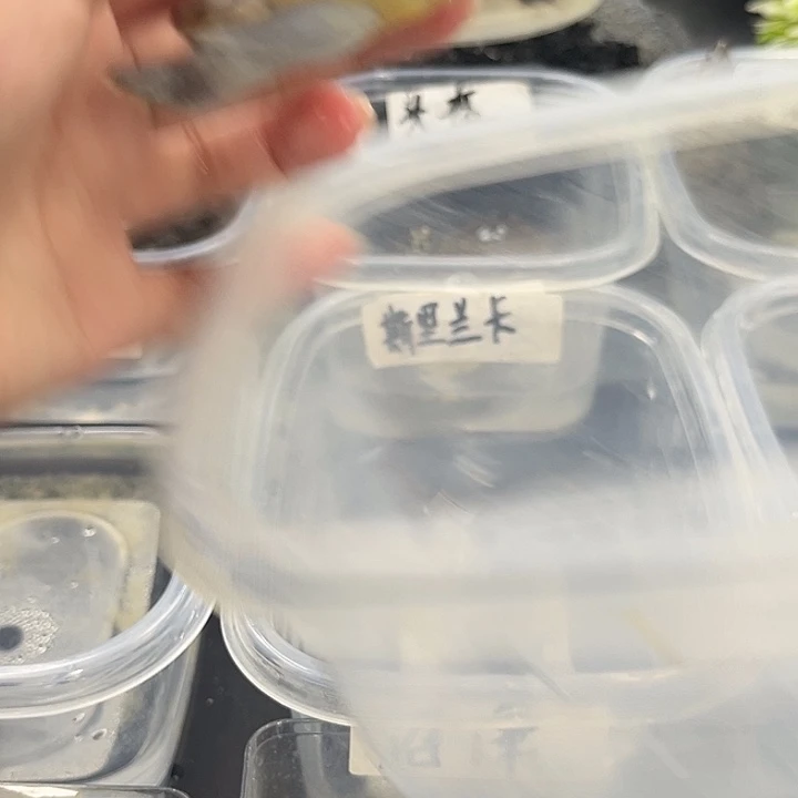 不****?紧张的吧你就