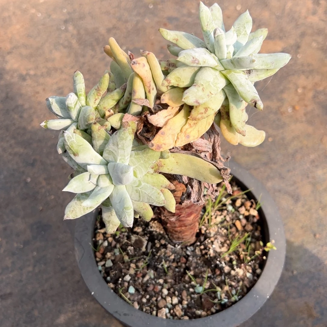 168哈哈哈哈哈哈哈哈