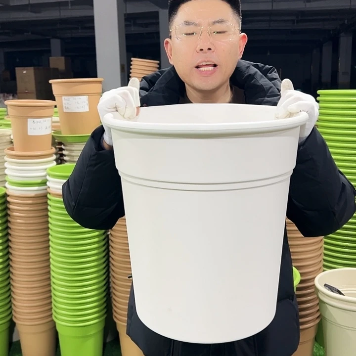 正品翻边口37高40白色3只无托