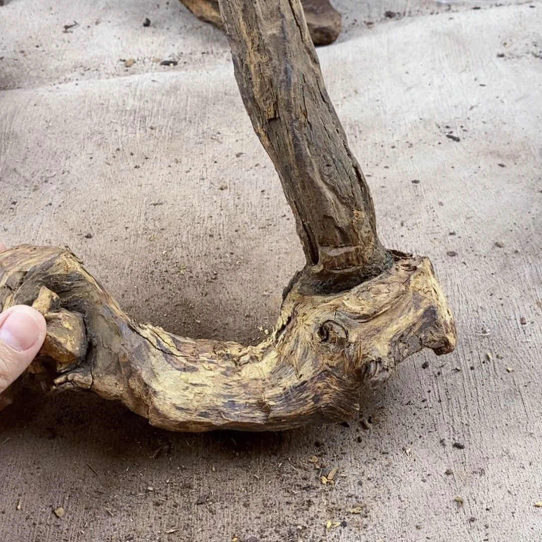 黄花梨/降香黄檀技***人