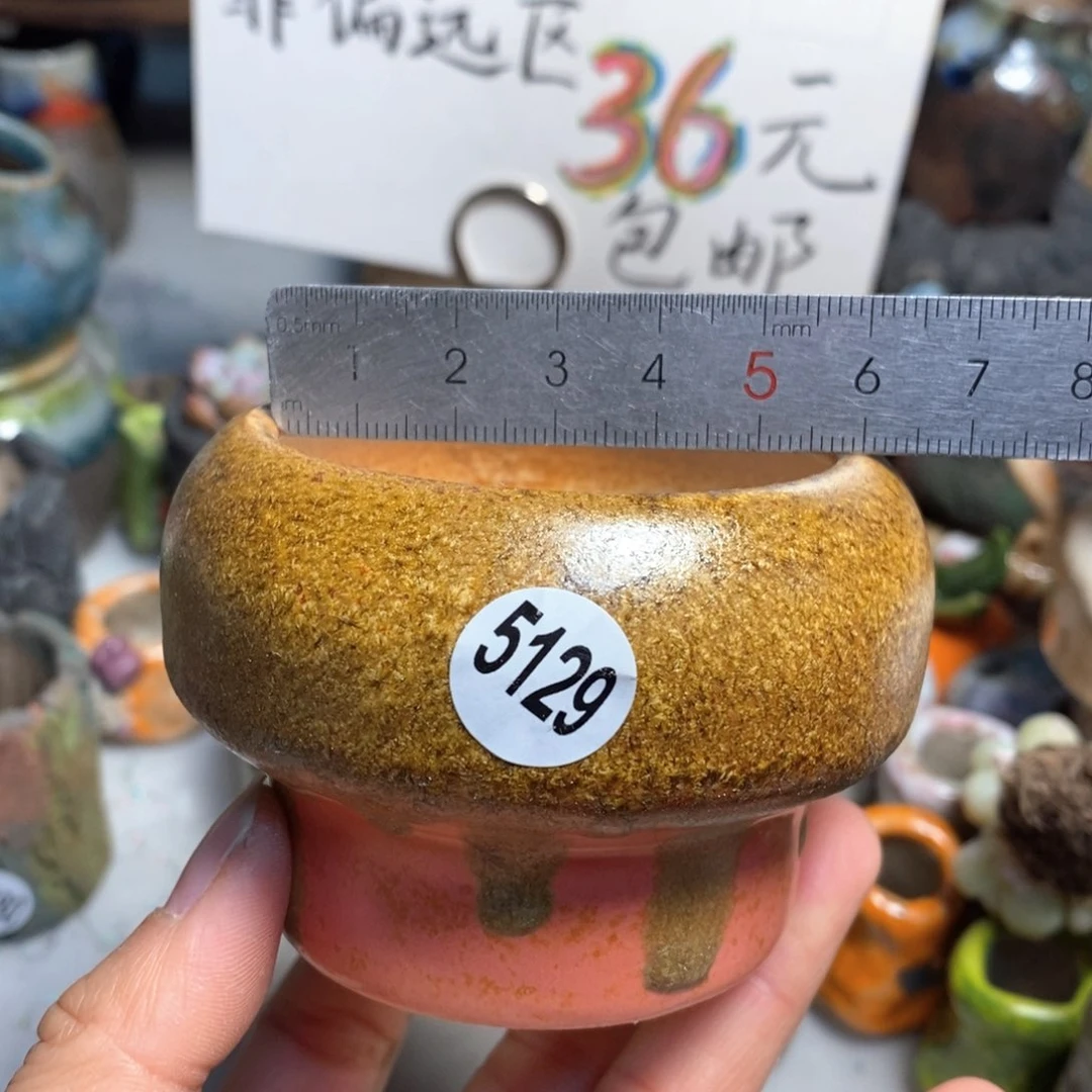 拍5送一个小礼物花盆