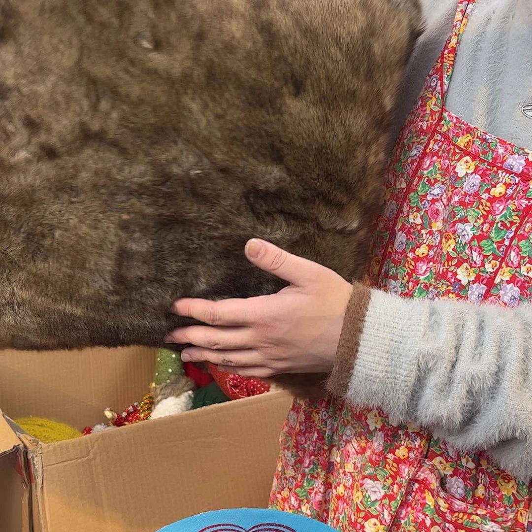 炉摆件工艺品不退不换