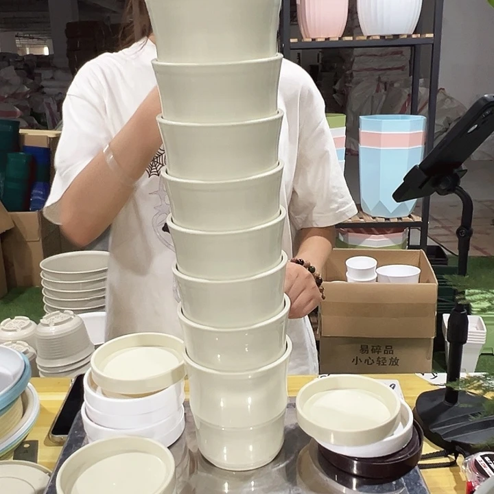 竹节口10高10米色10只带托